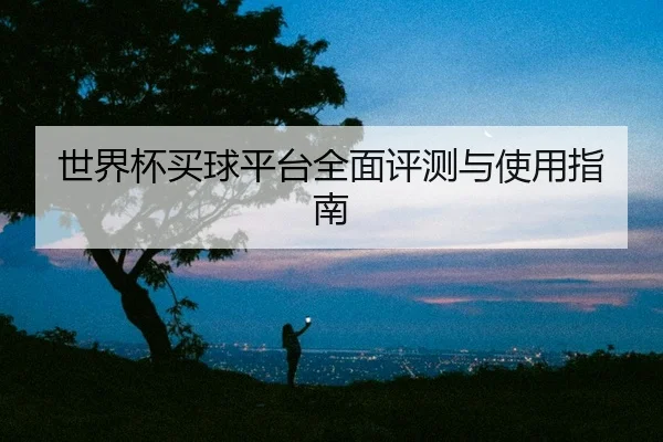 世界杯买球平台全面评测与使用指南