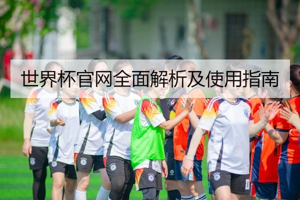 世界杯官网全面解析及使用指南