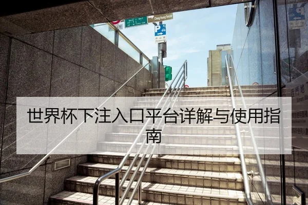 世界杯下注入口平台详解与使用指南