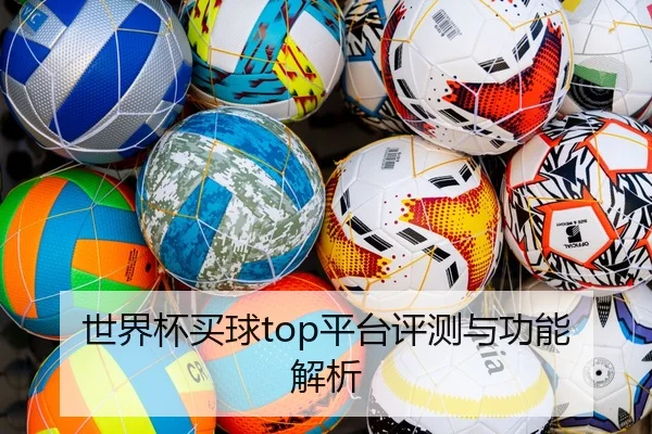 世界杯买球top平台评测与功能解析